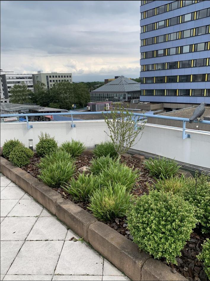 Im Herzen Von Wiesdorf- Blick Auf Das Bayer-Kreuz -Appartement Mit 2 Schlafzimmern-Fuer 3 Personen -Zentral Gelegen - Friedrich Ebert Platz 5A , 4Te Etage - Dachterrasse Und Sauna - Kaution Pflicht - Leverkusen Exteriör bild